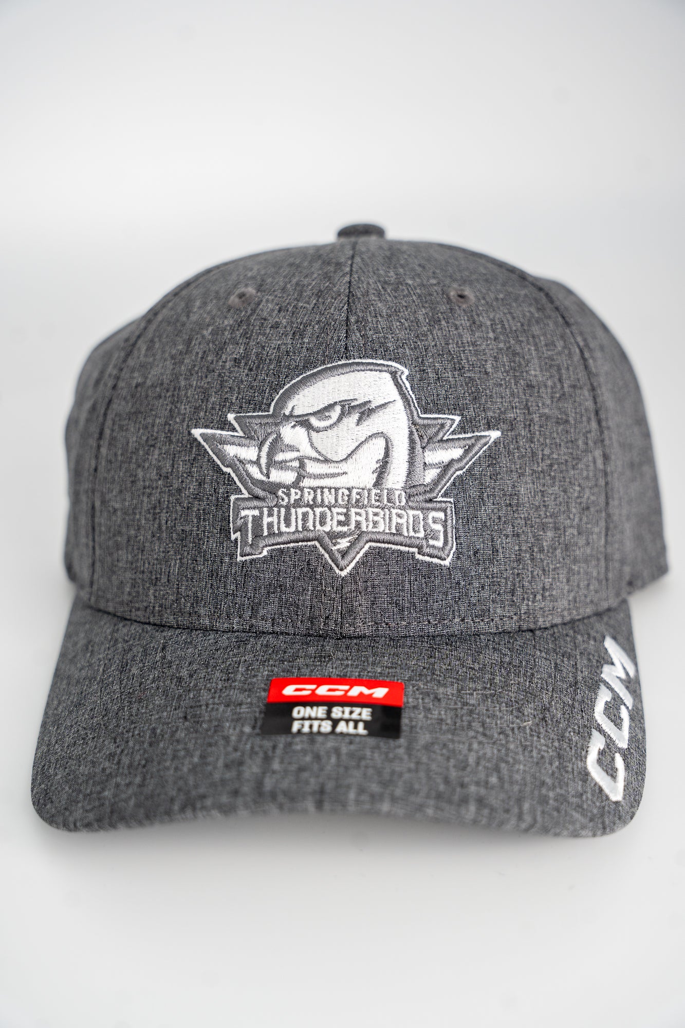 CCM Grey Low Profile T-Birds Snapback