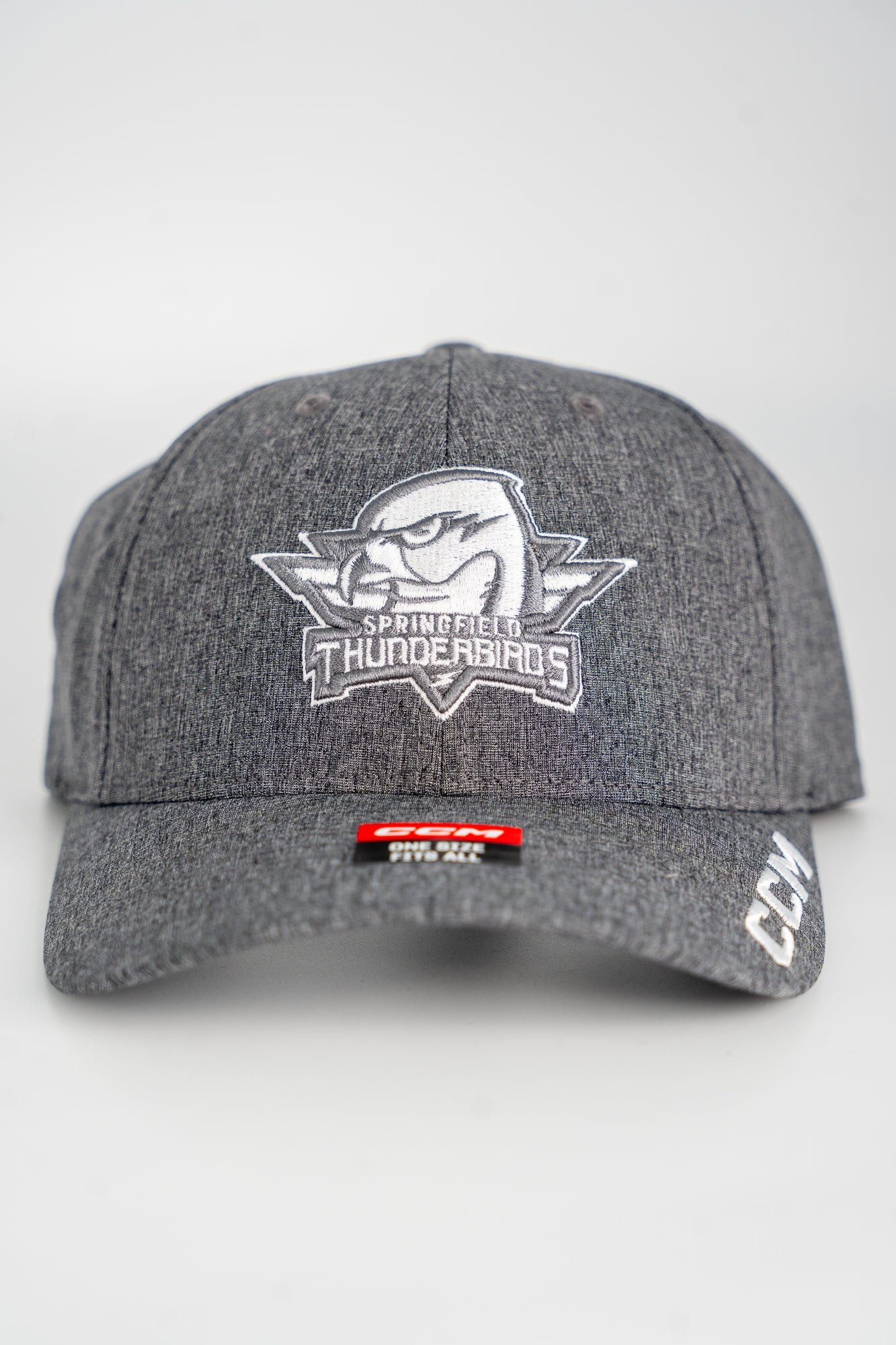 CCM Grey Low Profile T-Birds Snapback