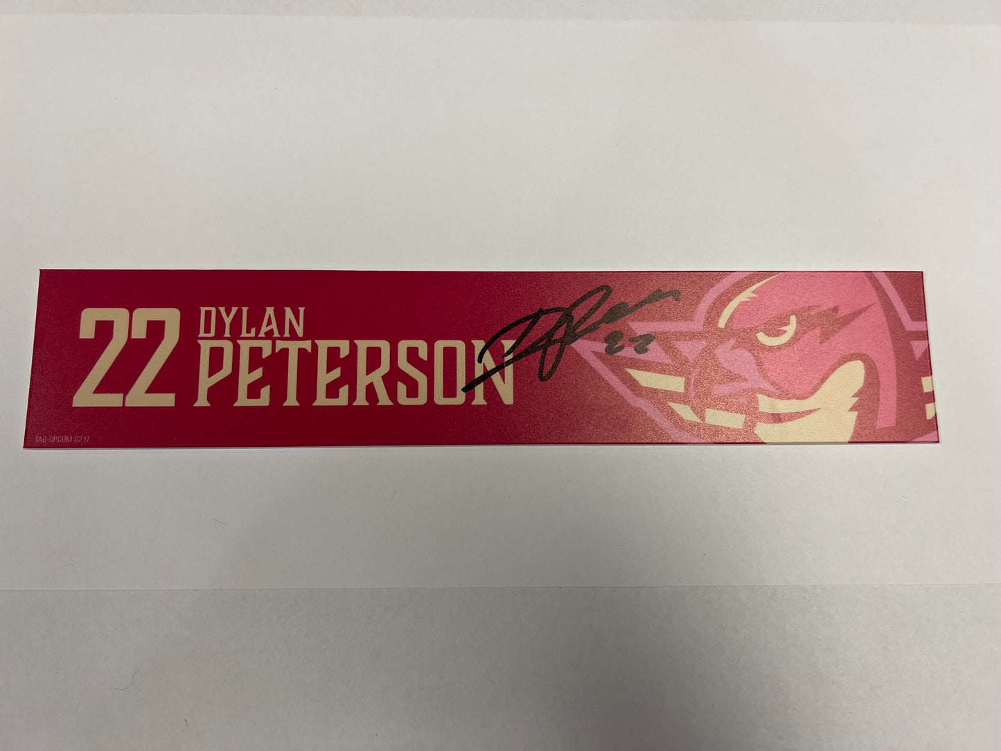 2025-26 Pink in the Rink Locker Nameplate