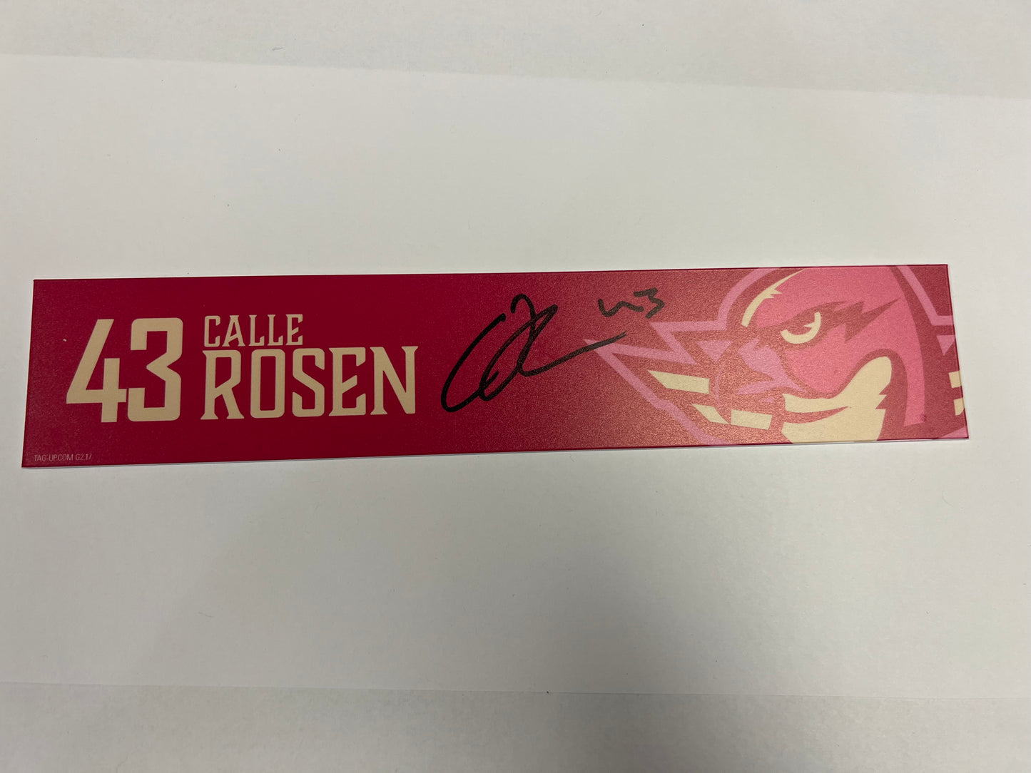 2025-26 Pink in the Rink Locker Nameplate