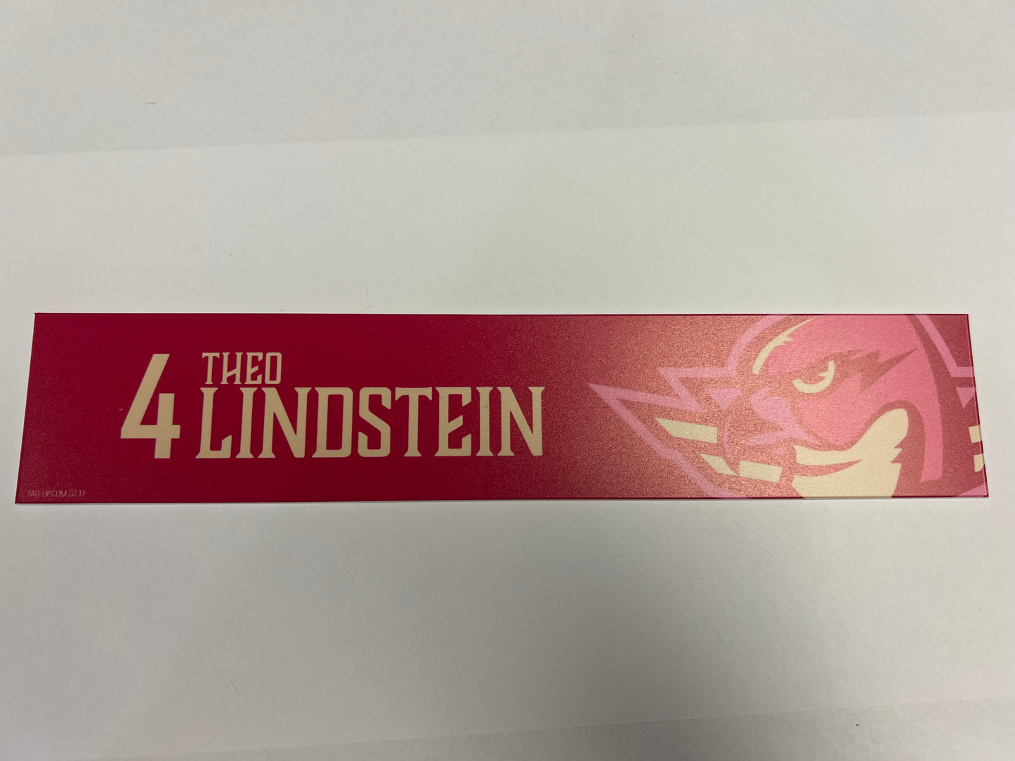 2025-26 Pink in the Rink Locker Nameplate