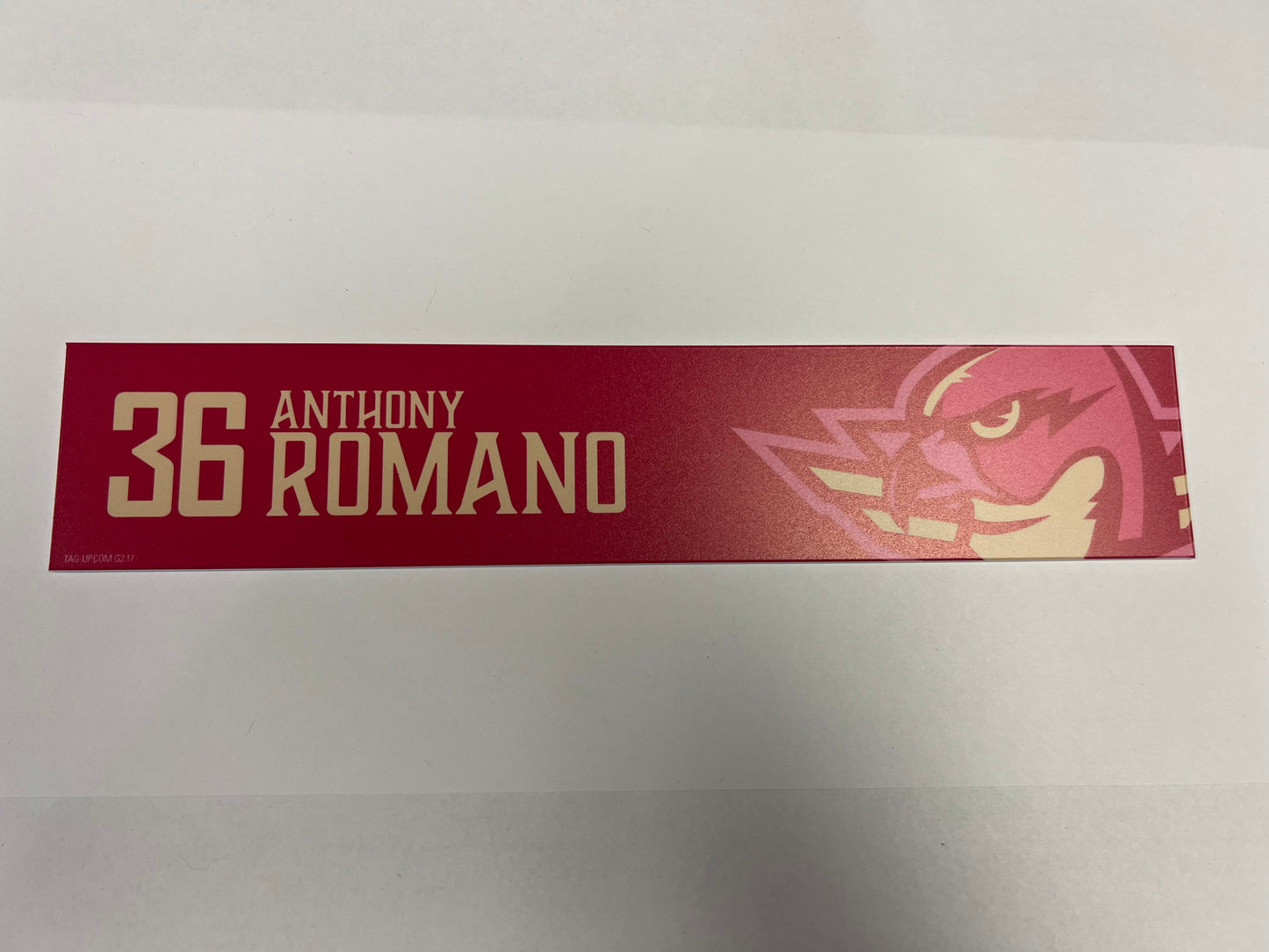 2025-26 Pink in the Rink Locker Nameplate