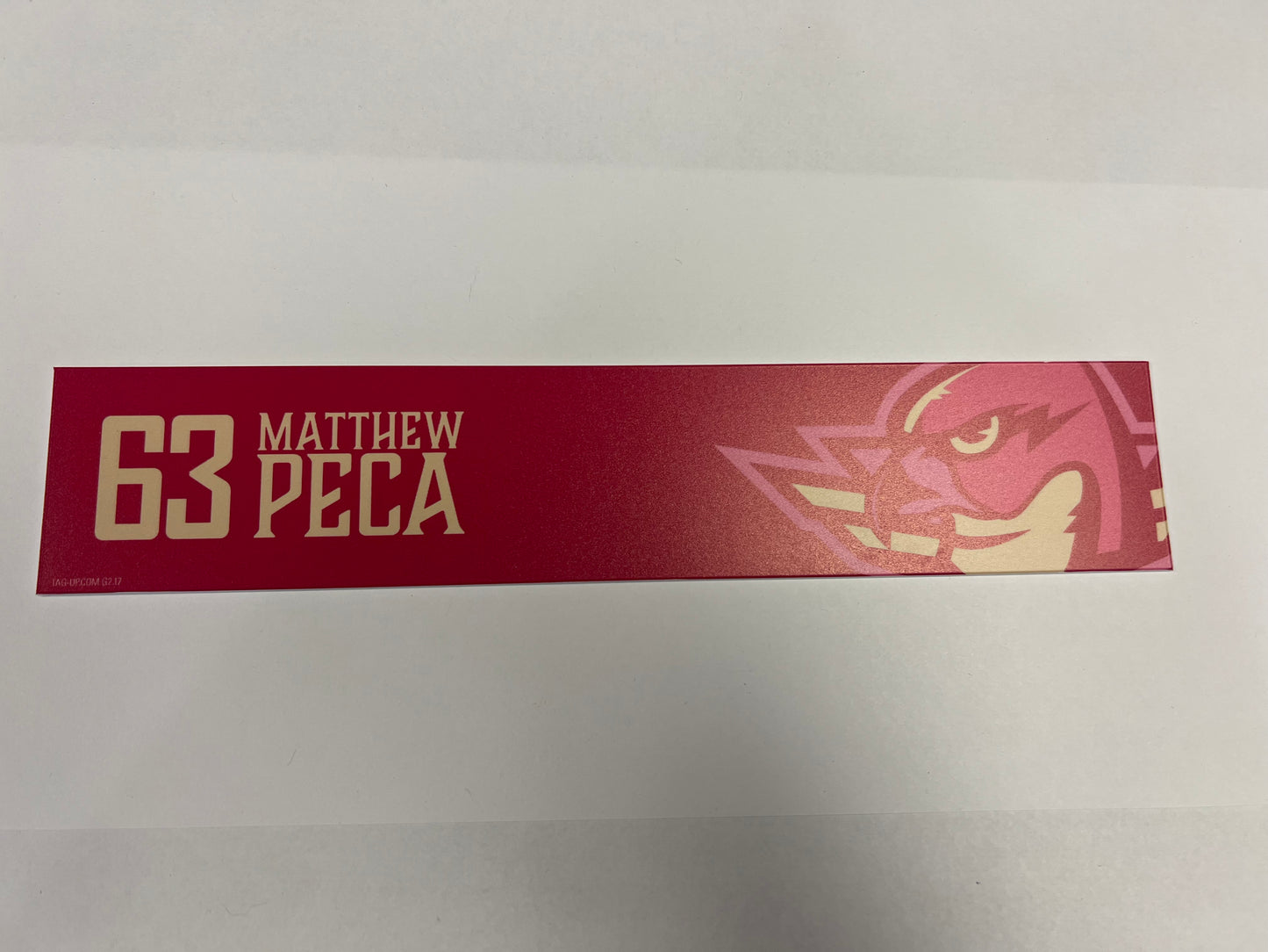 2025-26 Pink in the Rink Locker Nameplate