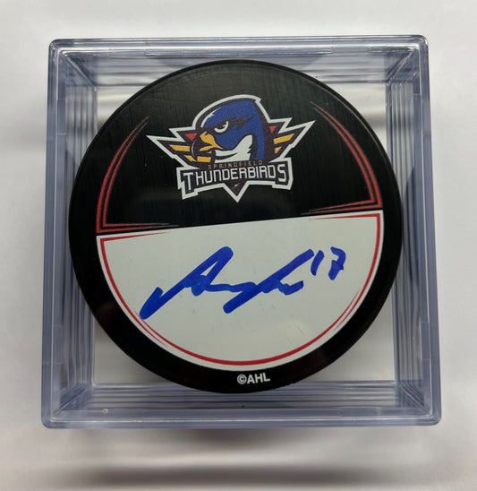 Signed Puck in Cube - #17 Nikita Alexandrov