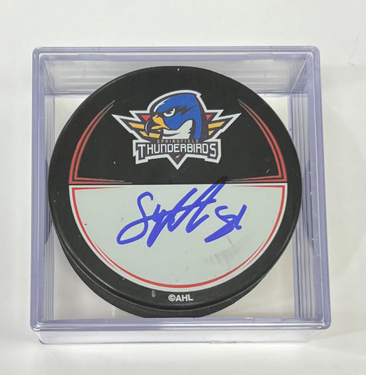 Signed Puck in Cube - 81 Marcus Sylvegard