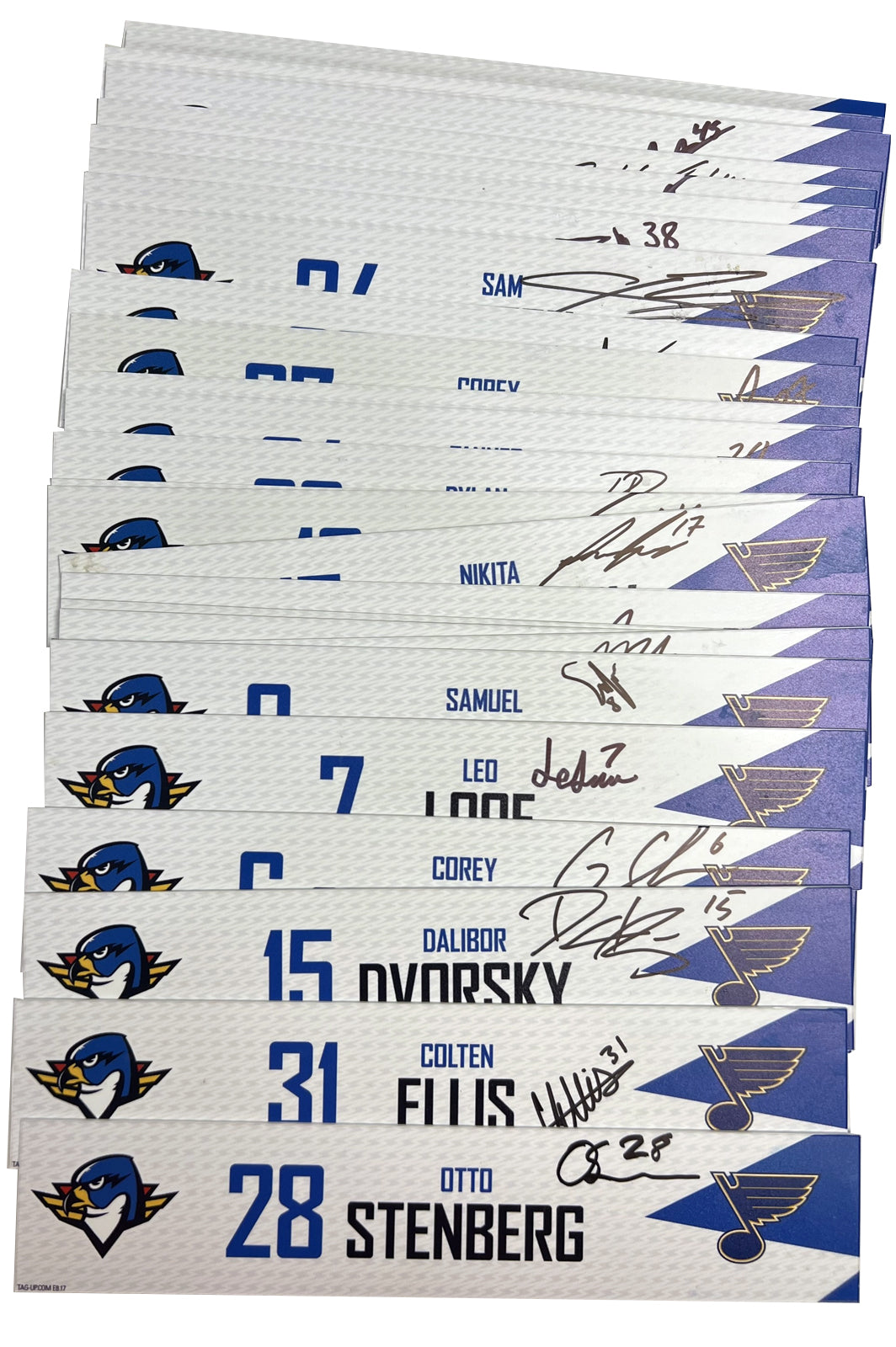 2024-25 T-Birds Regular Season Locker Nameplate - Blue